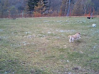 e0078510_19264688.jpg