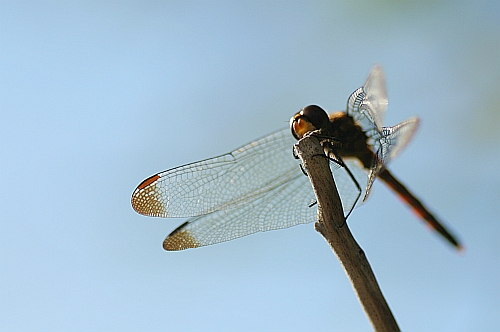 b0003512_18521750.jpg