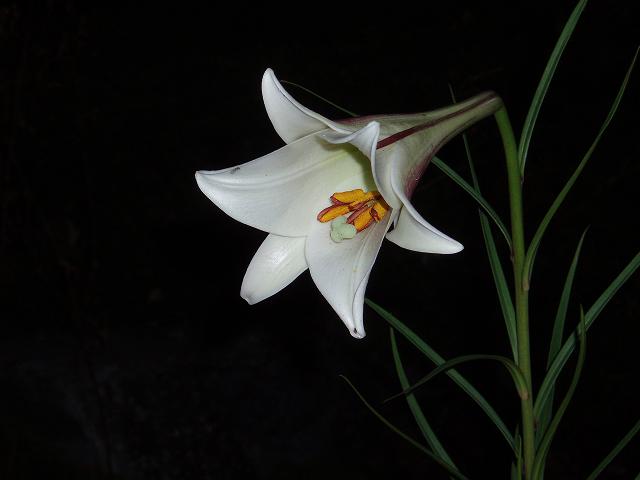 c0086014_2252292.jpg