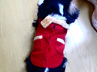f0059616_15215499.jpg
