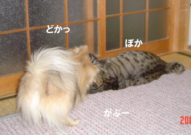 f0012924_6371693.jpg