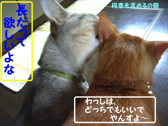 d0081025_17544458.jpg