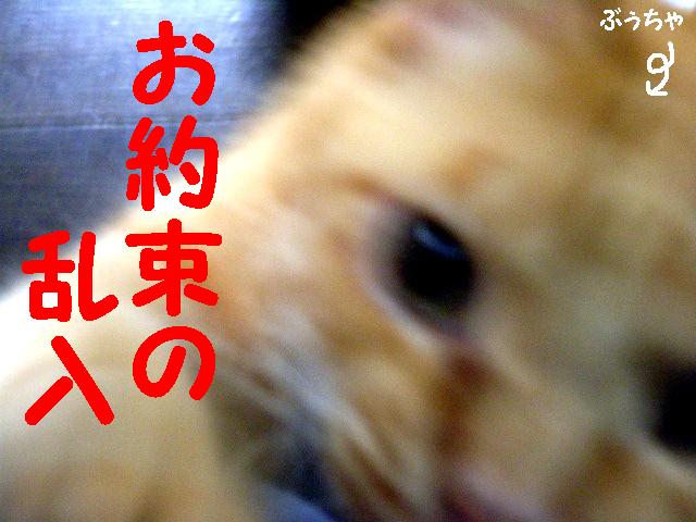 d0081025_1882639.jpg