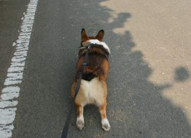 e0071225_22251614.jpg