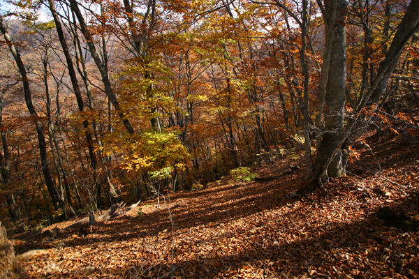 f0081726_1843454.jpg
