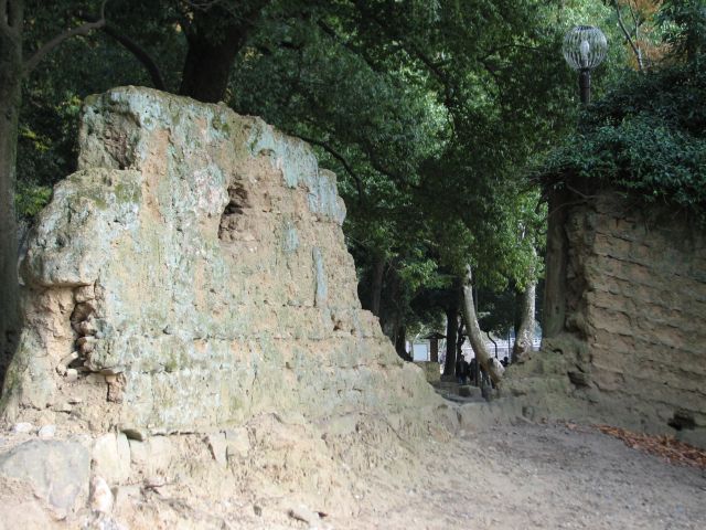 c0085630_236876.jpg
