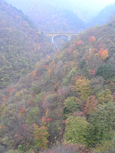 e0062530_2027567.jpg