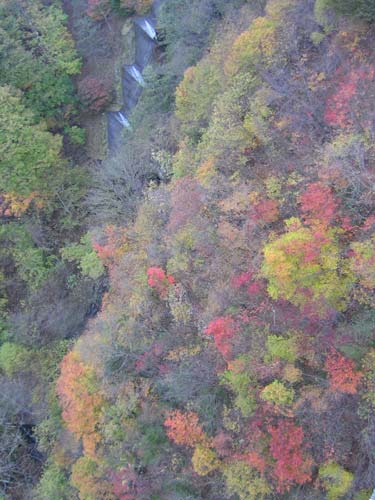 e0062530_2033299.jpg