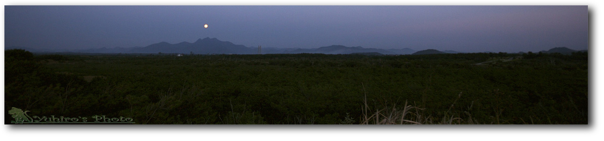 d0004832_10173479.jpg