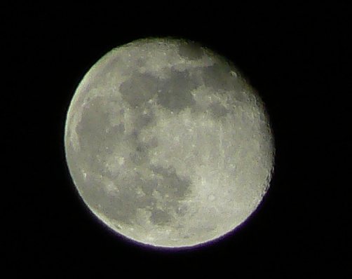 a0058135_23135277.jpg