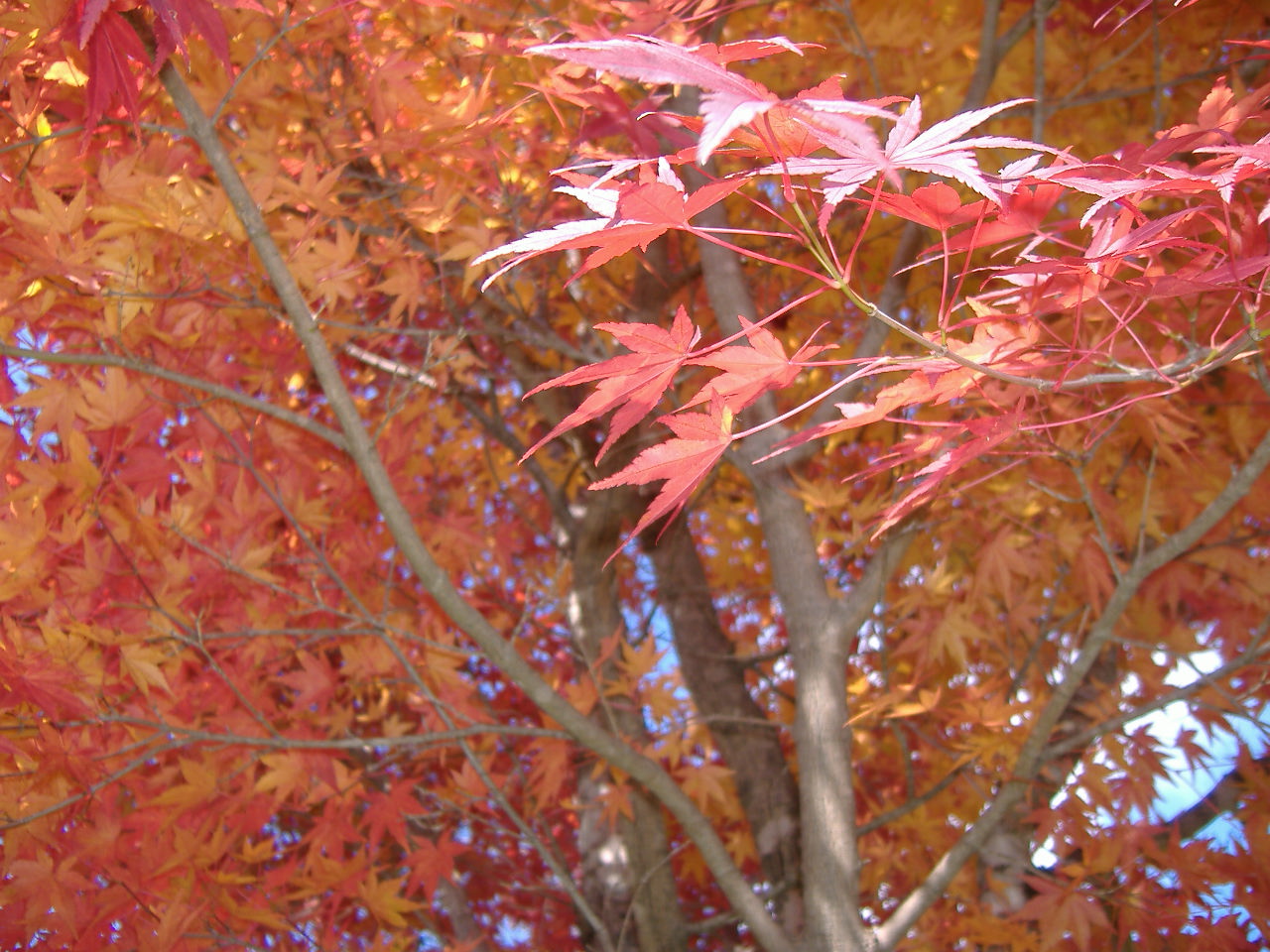 a0005436_21542388.jpg