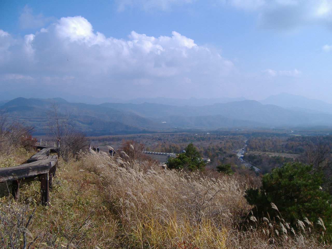 a0005436_21565332.jpg