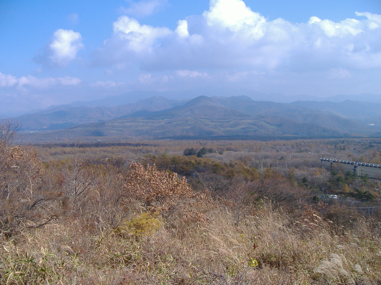 a0005436_21571023.jpg