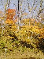 f0102437_1881335.jpg