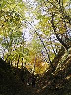 f0102437_1885375.jpg