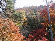 f0102437_189325.jpg