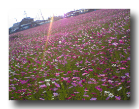 d0048140_18371023.jpg