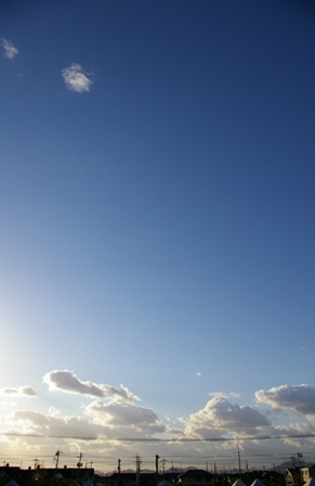 e0086642_7595739.jpg