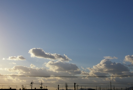 e0086642_801274.jpg