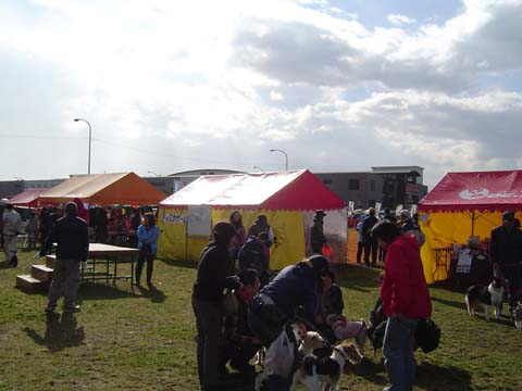 a0042044_23502427.jpg
