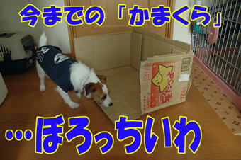 f0035044_9494898.jpg