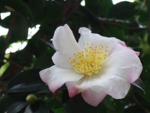 c0023545_2317373.jpg