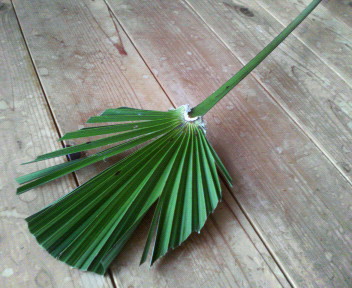 f0088647_16334810.jpg