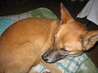 a0054948_12335516.jpg