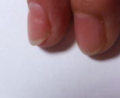 b0003651_2256456.jpg