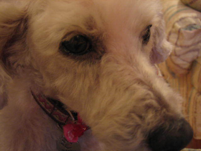 f0076952_22561662.jpg
