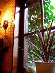 e0001860_20554622.jpg