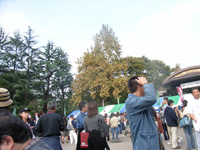 b0064461_23124211.jpg
