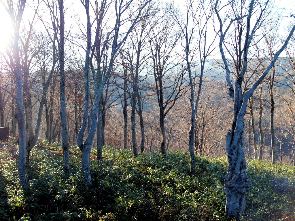 f0107364_21483464.jpg