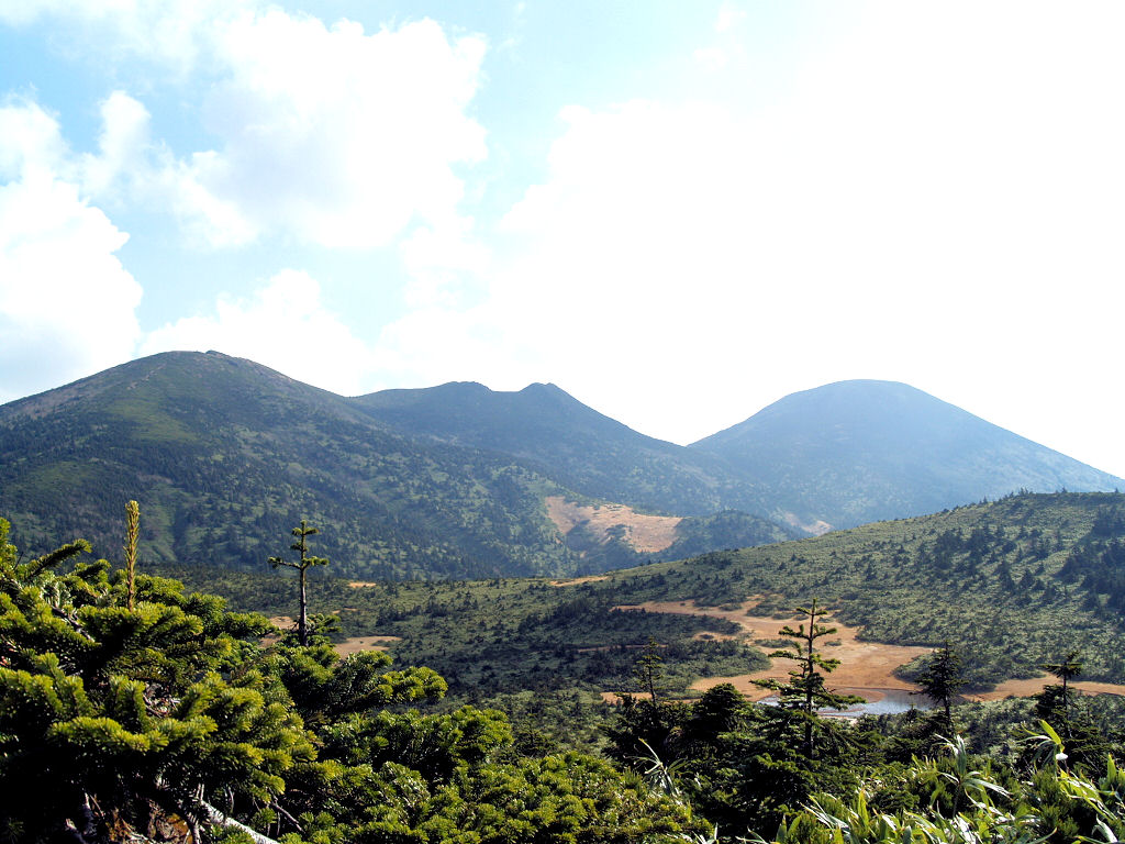f0107364_9504274.jpg