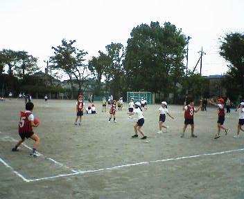 b0009665_072016.jpg