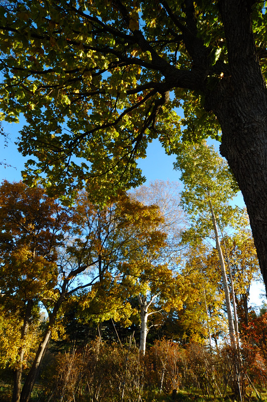 c0084666_18541418.jpg