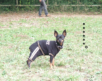 c0012571_186521.gif