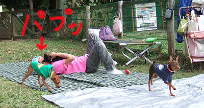 c0012571_1871299.gif