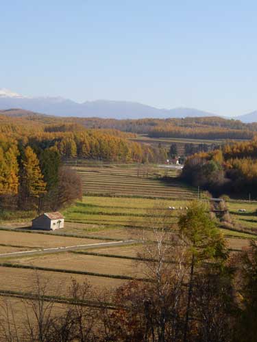 b0085872_1744738.jpg