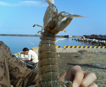 a0047175_7355956.jpg