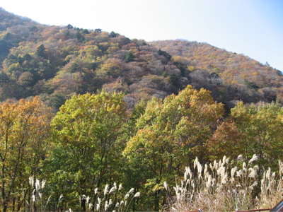 d0045179_152769.jpg