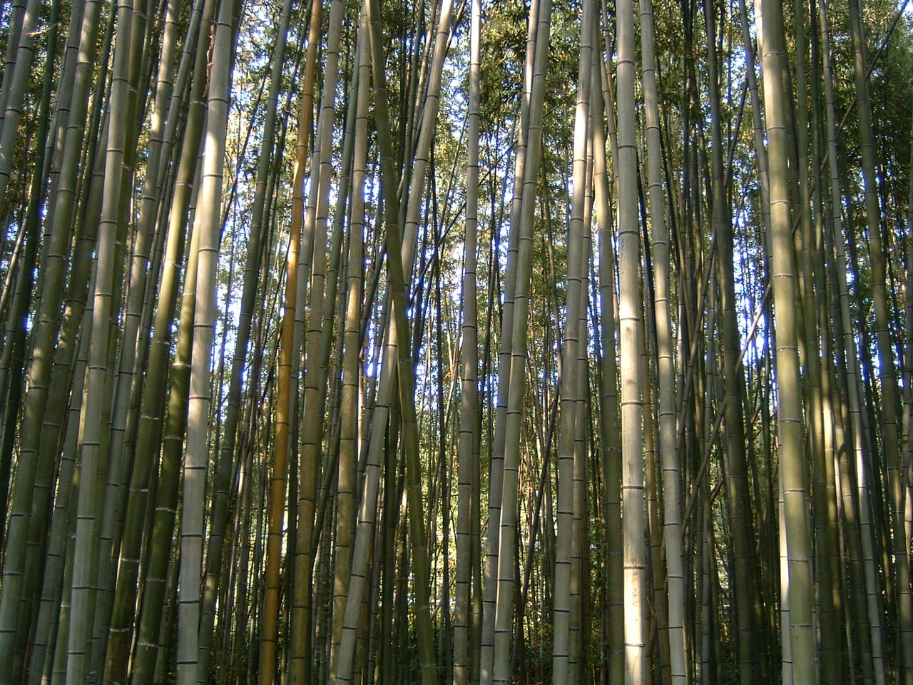 b0013080_23315954.jpg