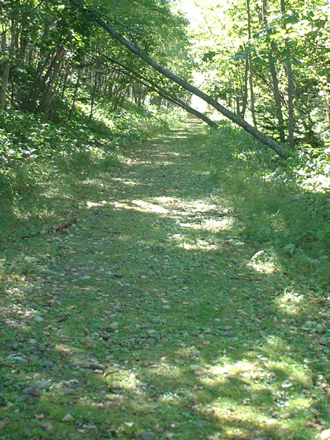 e0005280_2324425.jpg