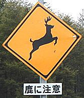 c0045882_2132363.jpg