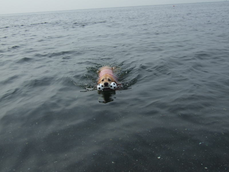 c0104492_18394629.jpg