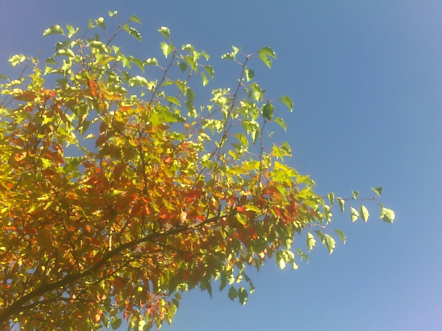 c0103793_235143.jpg