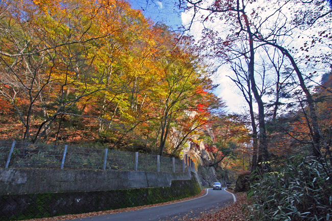 c0025895_0535712.jpg
