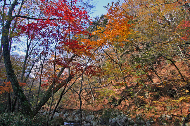 c0025895_0564219.jpg