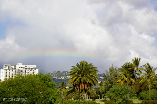 e0008800_1421149.jpg