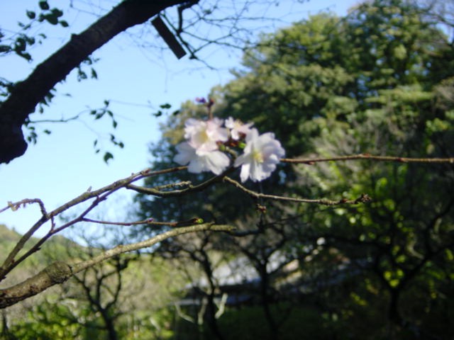 b0083902_22474933.jpg
